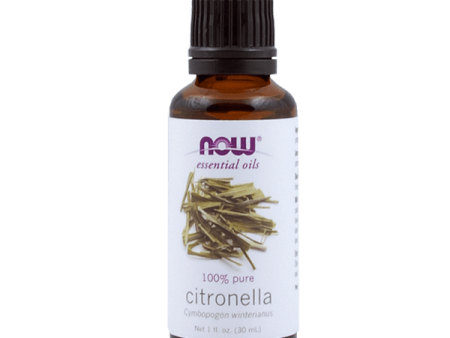 Citronella Online Hot Sale