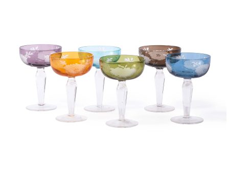 Peony Multicolor Coupe Glass (Set of 6) Online