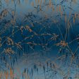 Meadow Grass Wallpaper Hot on Sale