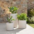 Gatsby Cylinder Planter Sale