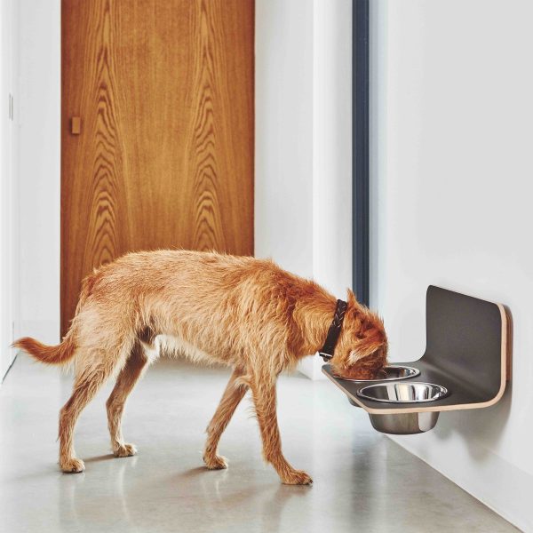 Arco Dog Feeder Hot on Sale