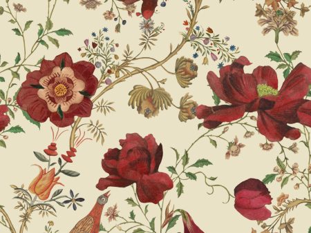 Transsilvaniae Florilegium Wallpaper For Cheap