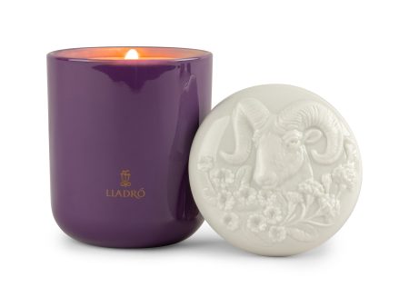 Chinese Zodiac Candle For Cheap