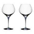 Intermezzo Bouquet Glass (Set of 2) Cheap