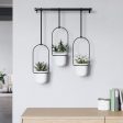 Triflora Hanging Planters and Rod For Cheap