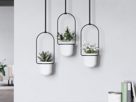 Triflora Hanging Planters and Rod For Cheap