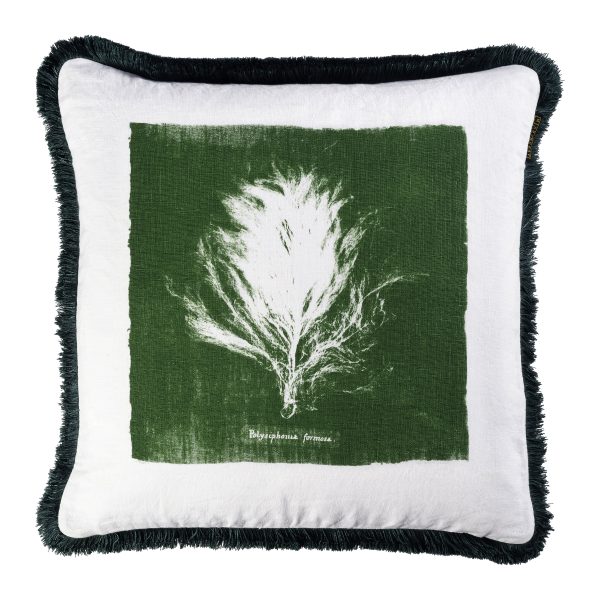 Algae II Pillow Online Hot Sale