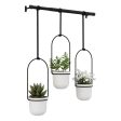 Triflora Hanging Planters and Rod For Cheap