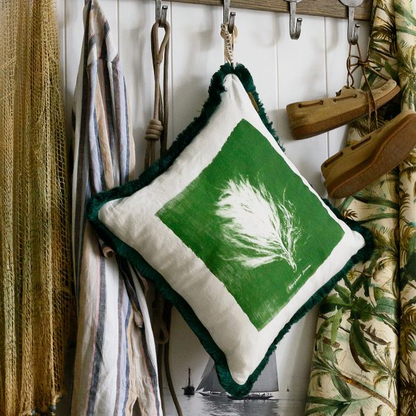 Algae II Pillow Online Hot Sale