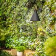 Winnie Outdoor Wall Light Hot on Sale